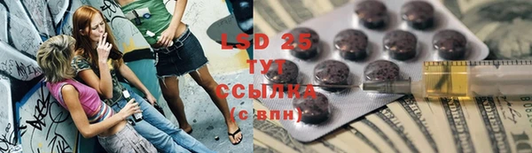кокс Гусев
