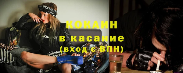 кокс Гусев