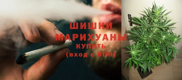 прущие крисы Гусиноозёрск