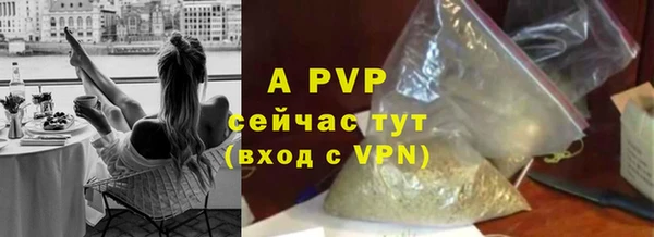 кокс Гусев