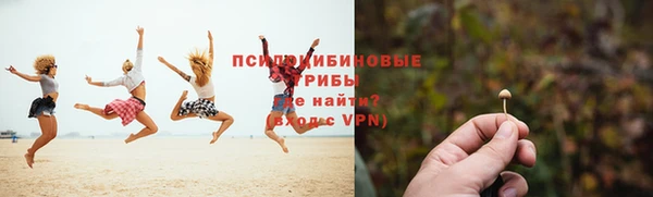 кокс Гусев