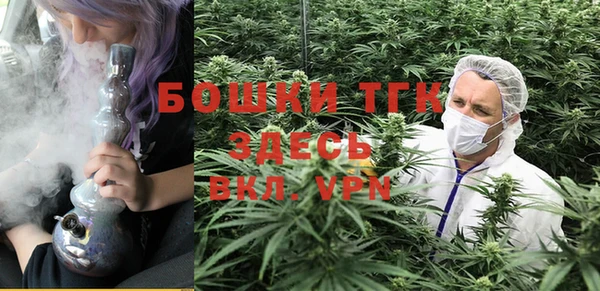 кокс Гусев