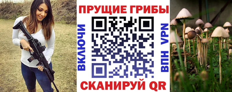 сколько стоит Находка Галлюциногенные грибы GOLDEN TEACHER