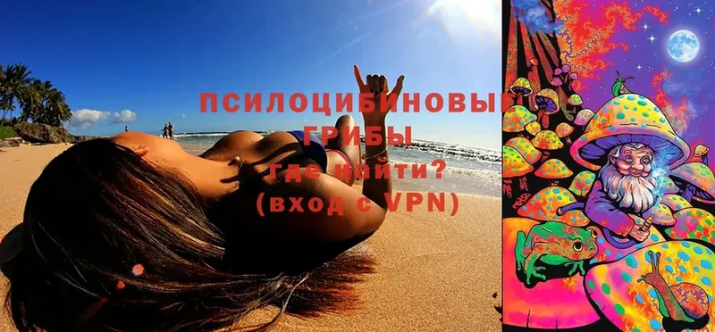Галлюциногенные грибы Magic Shrooms Находка